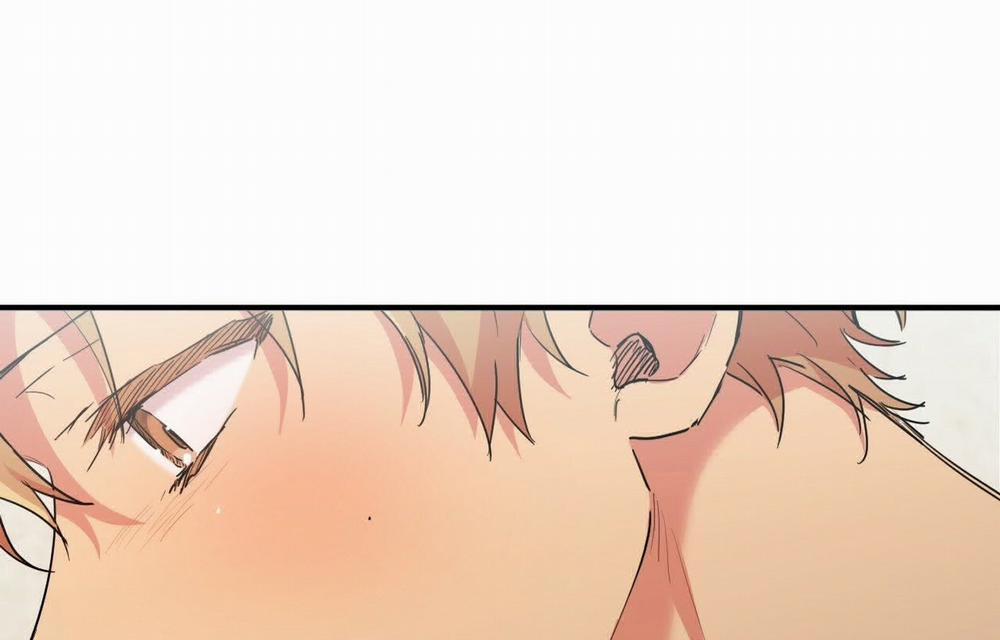 Đàn Thỏ Của Habibi 18 trang 6