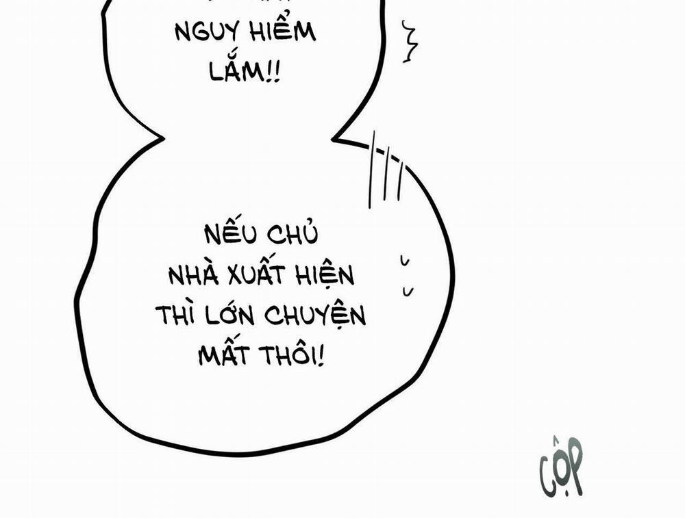 Đàn Thỏ Của Habibi 19 trang 117