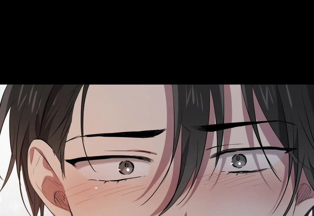 Đàn Thỏ Của Habibi 19 trang 215