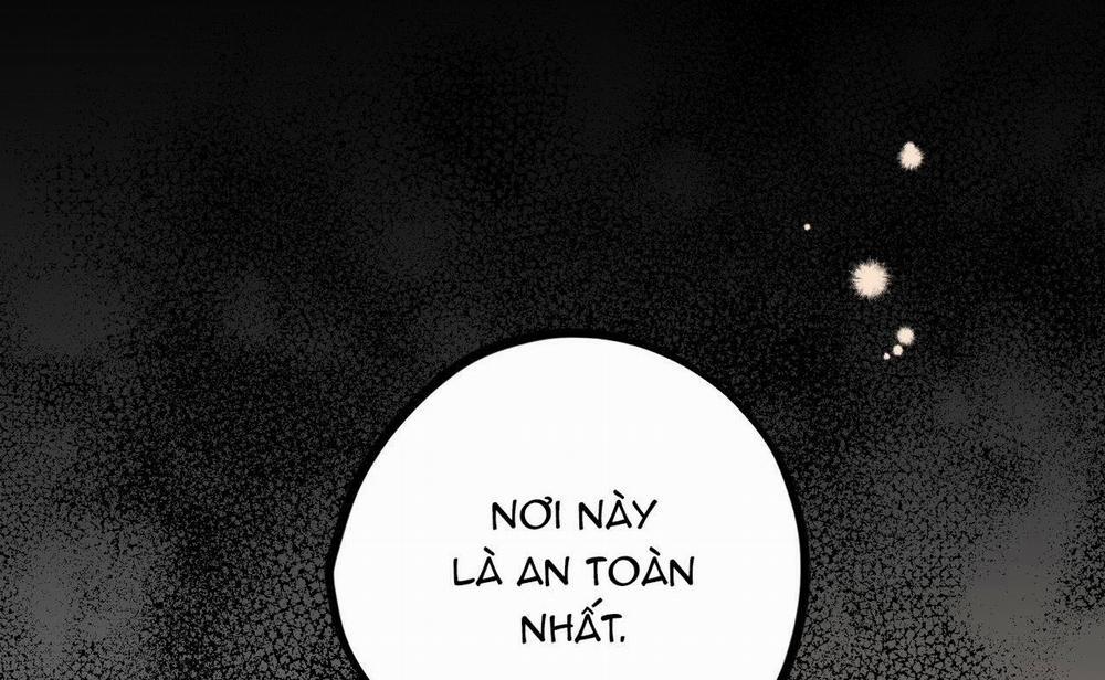 Đàn Thỏ Của Habibi 19 trang 232