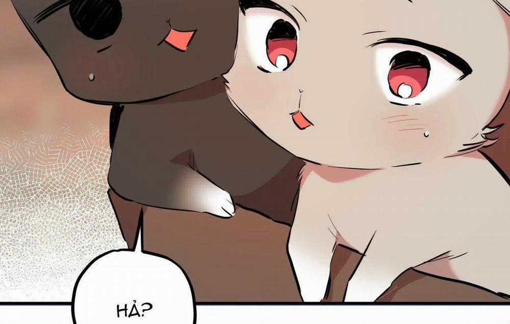 Đàn Thỏ Của Habibi 19 trang 242