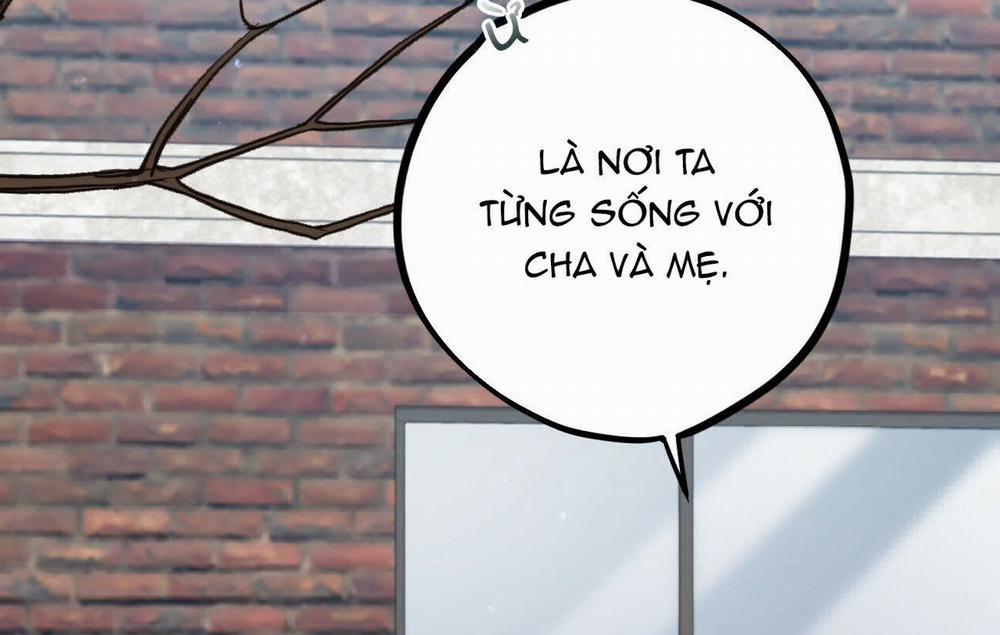 Đàn Thỏ Của Habibi 19 trang 245