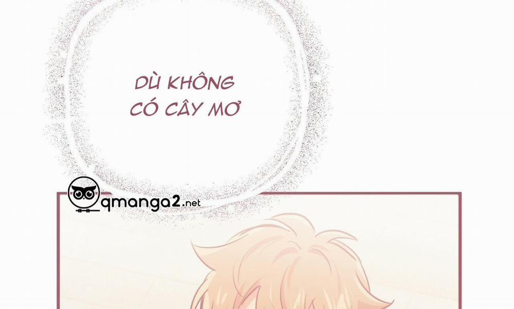 Đàn Thỏ Của Habibi 19 trang 263