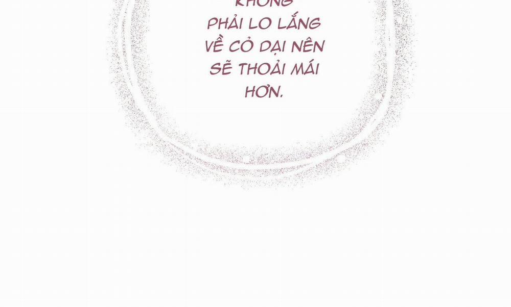 Đàn Thỏ Của Habibi 19 trang 270