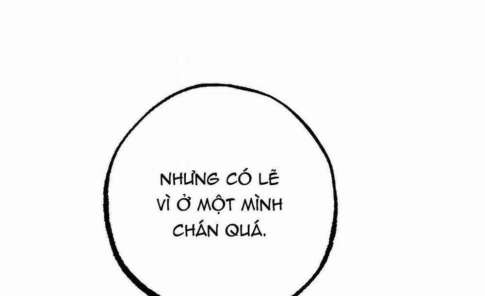 Đàn Thỏ Của Habibi 19 trang 44