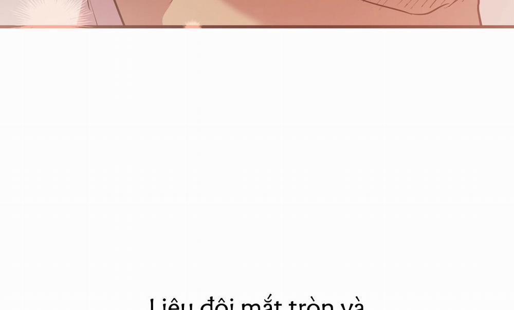 Đàn Thỏ Của Habibi 19 trang 61