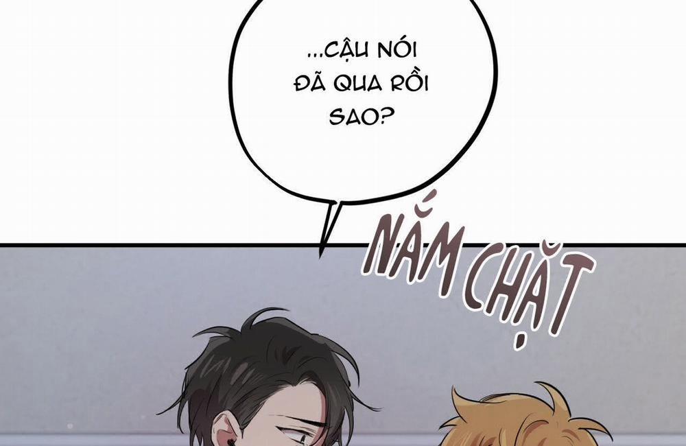 Đàn Thỏ Của Habibi 19 trang 7