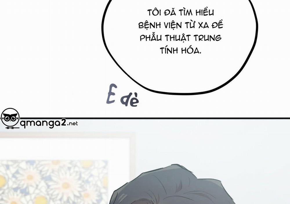 Đàn Thỏ Của Habibi 20 trang 141