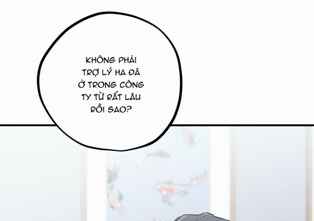 Đàn Thỏ Của Habibi 20 trang 151