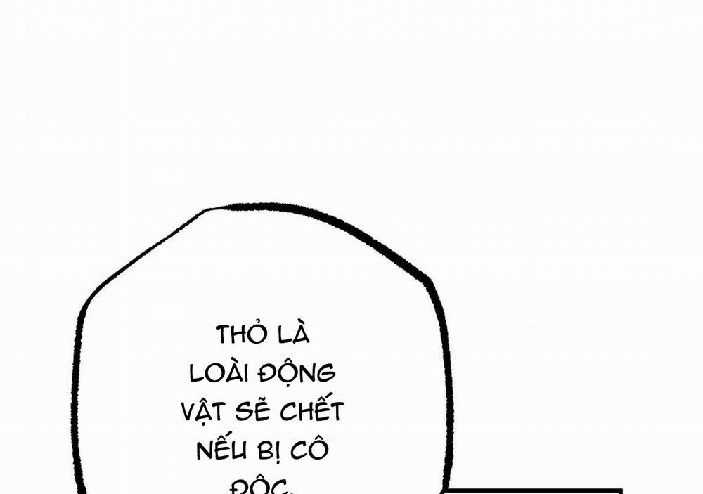 Đàn Thỏ Của Habibi 20 trang 165