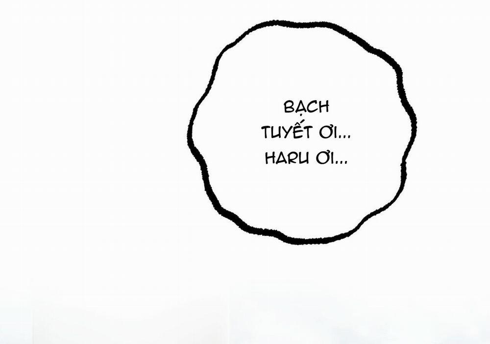 Đàn Thỏ Của Habibi 20 trang 185