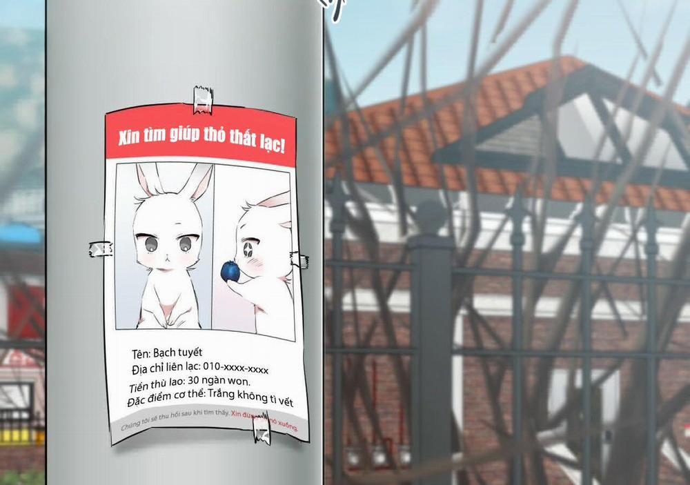 Đàn Thỏ Của Habibi 20 trang 187