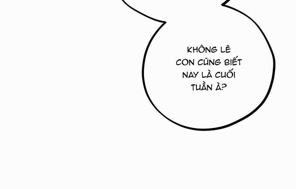 Đàn Thỏ Của Habibi 20 trang 217