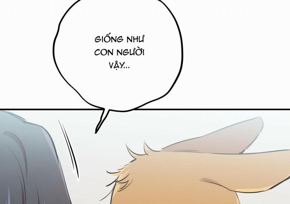 Đàn Thỏ Của Habibi 20 trang 238