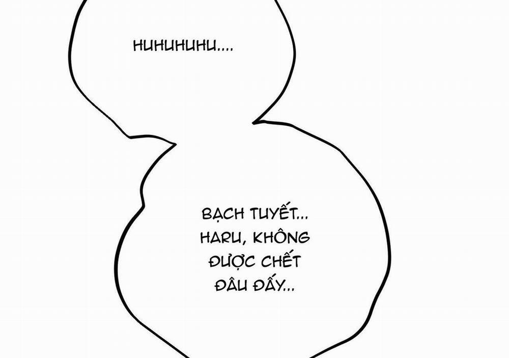 Đàn Thỏ Của Habibi 20 trang 242