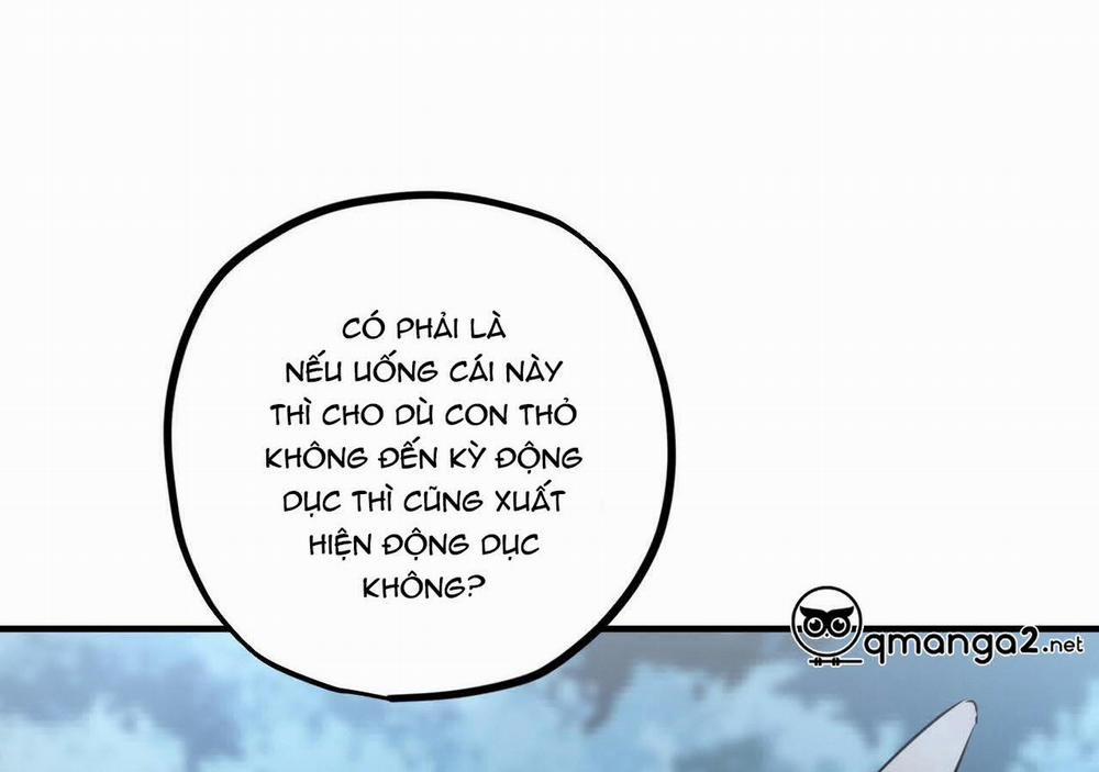 Đàn Thỏ Của Habibi 20 trang 47