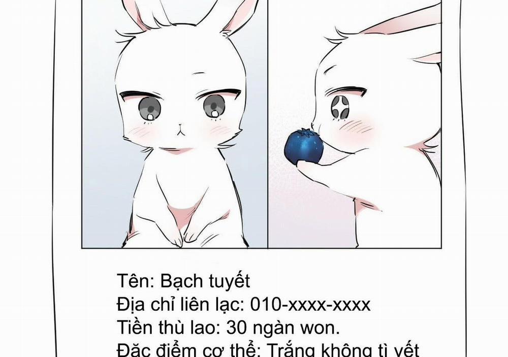 Đàn Thỏ Của Habibi 20 trang 96