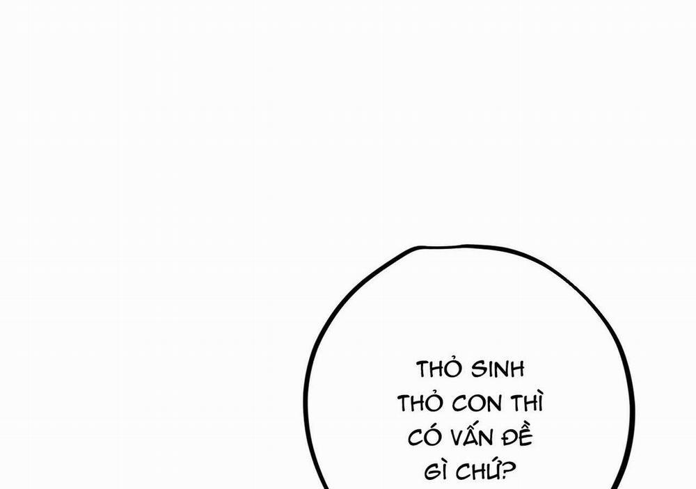 Đàn Thỏ Của Habibi 21 trang 127