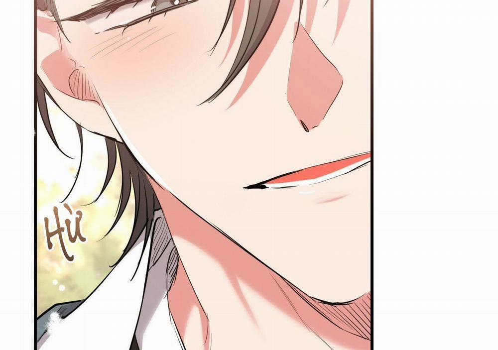 Đàn Thỏ Của Habibi 21 trang 17