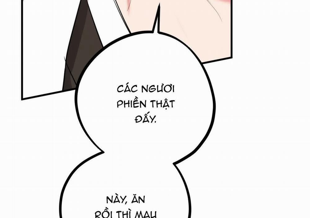 Đàn Thỏ Của Habibi 21 trang 18