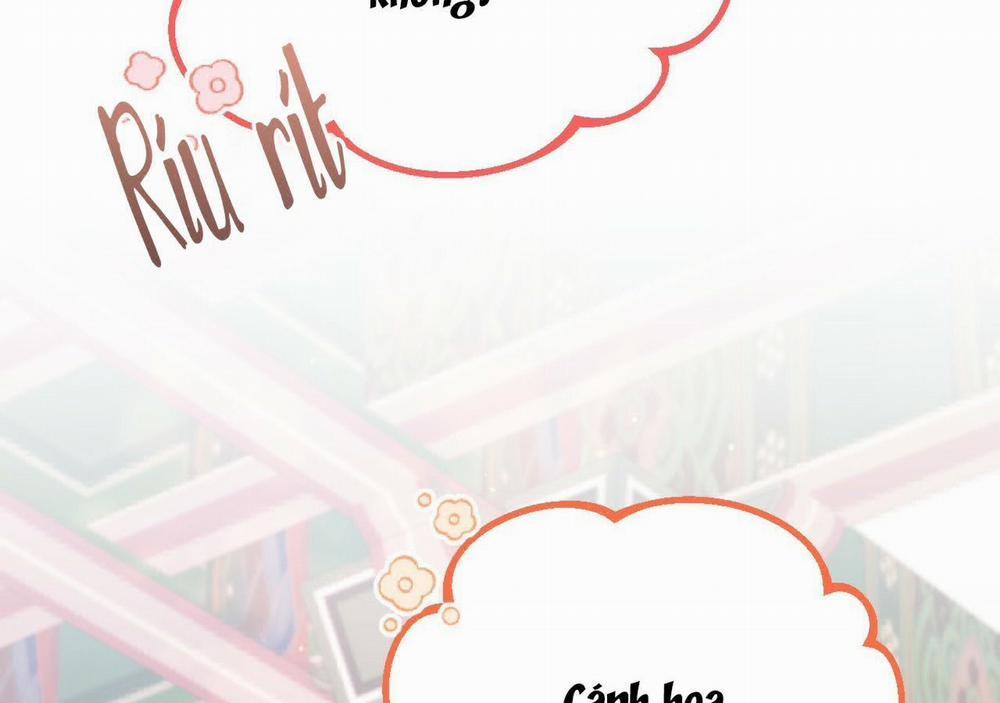 Đàn Thỏ Của Habibi 21 trang 2