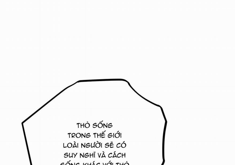 Đàn Thỏ Của Habibi 21 trang 209