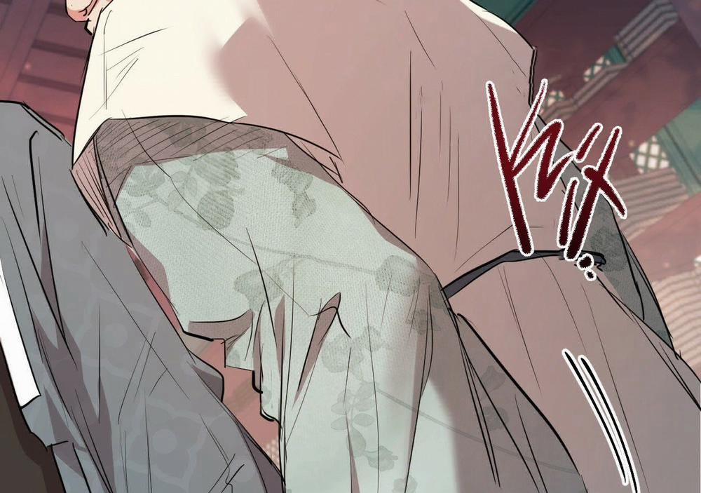 Đàn Thỏ Của Habibi 21 trang 217