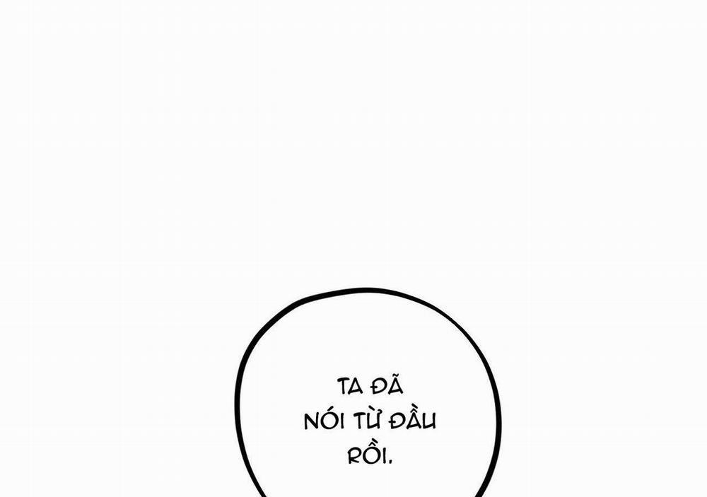 Đàn Thỏ Của Habibi 21 trang 236