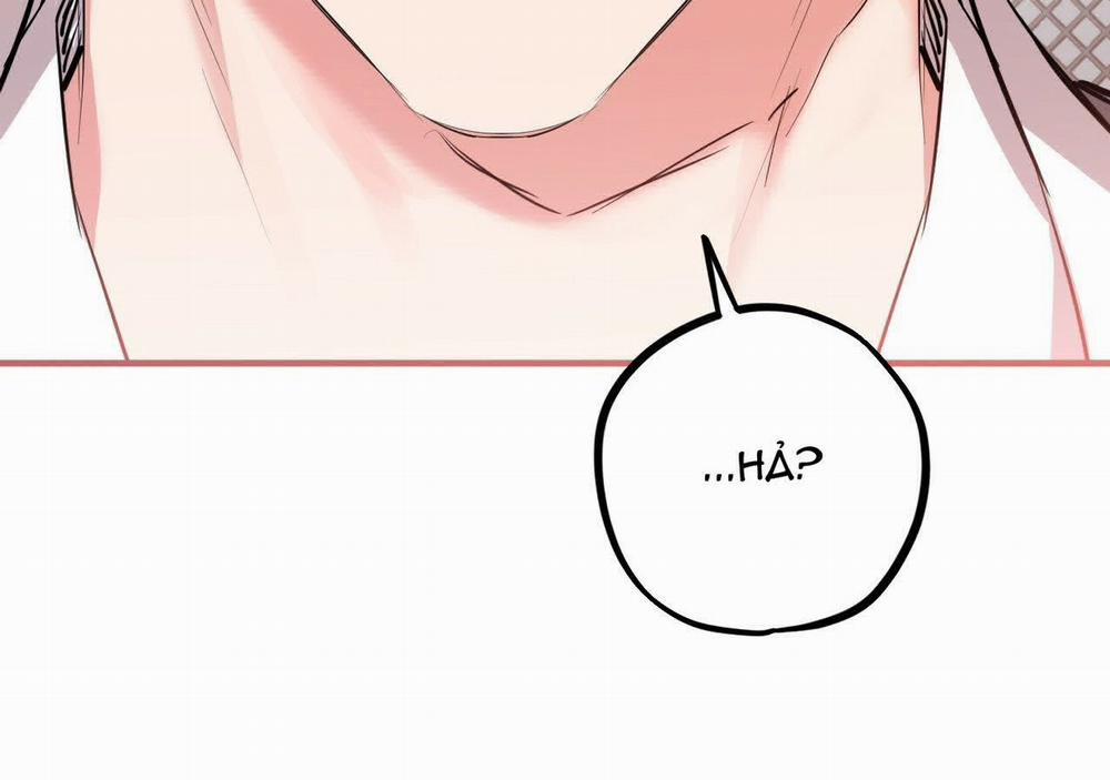 Đàn Thỏ Của Habibi 21 trang 239