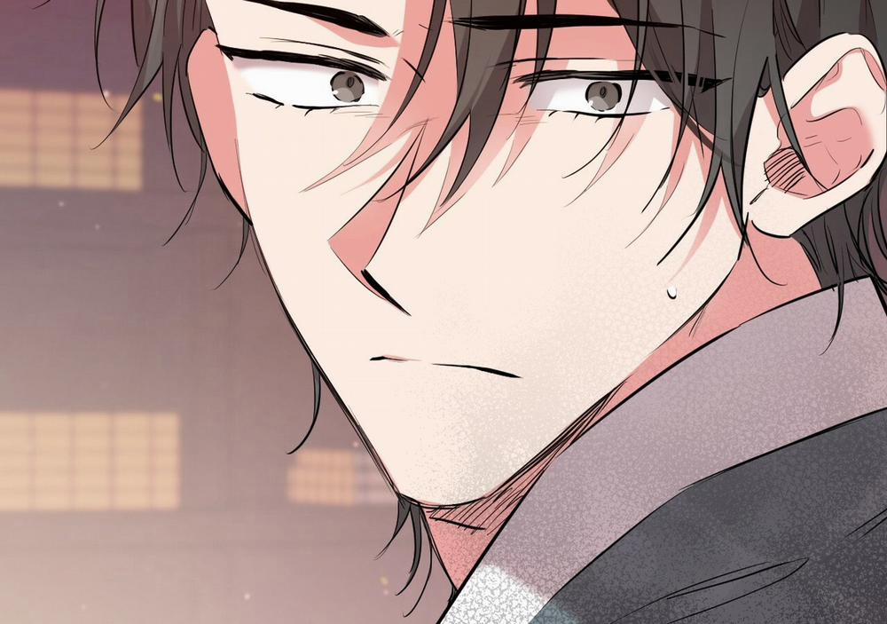 Đàn Thỏ Của Habibi 21 trang 272