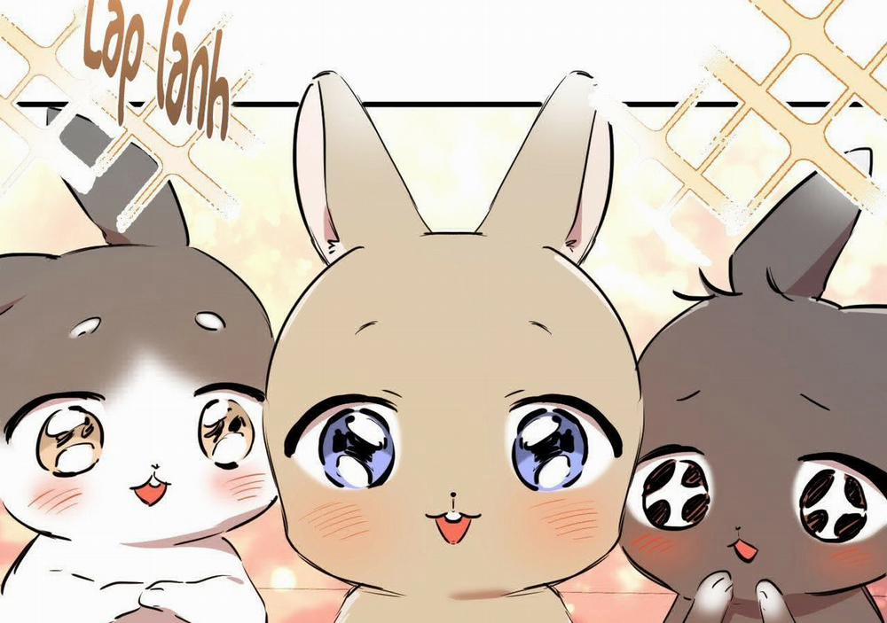 Đàn Thỏ Của Habibi 21 trang 7