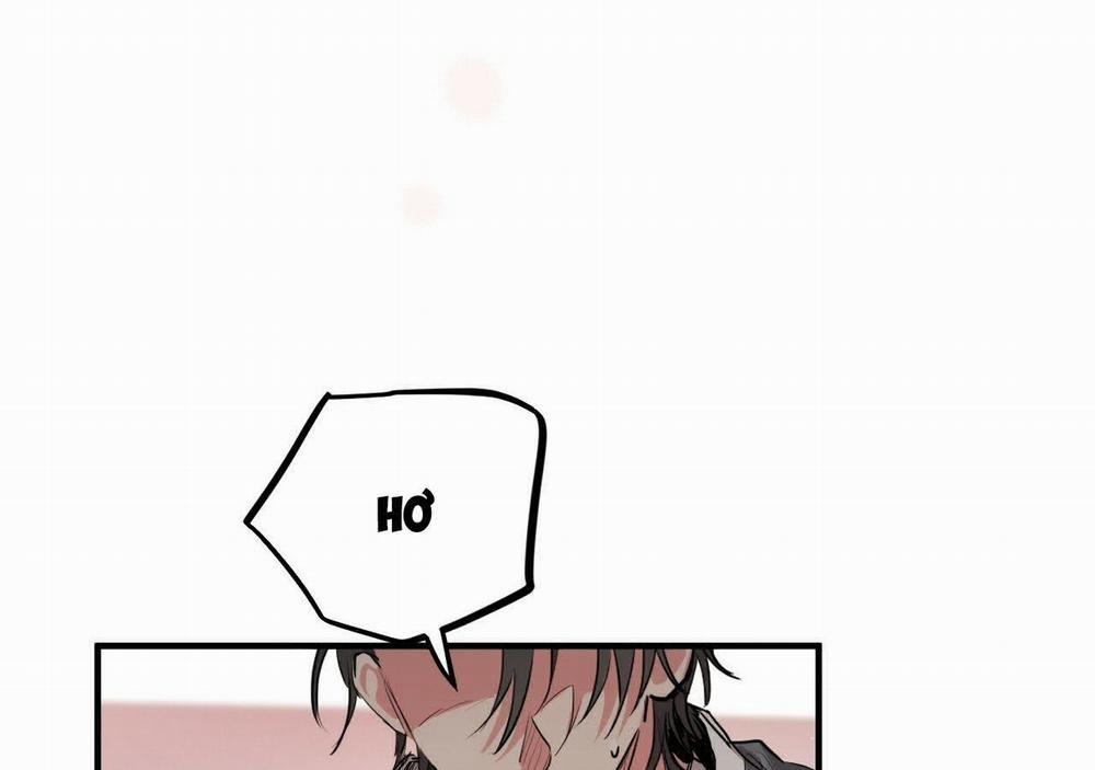 Đàn Thỏ Của Habibi 21 trang 71