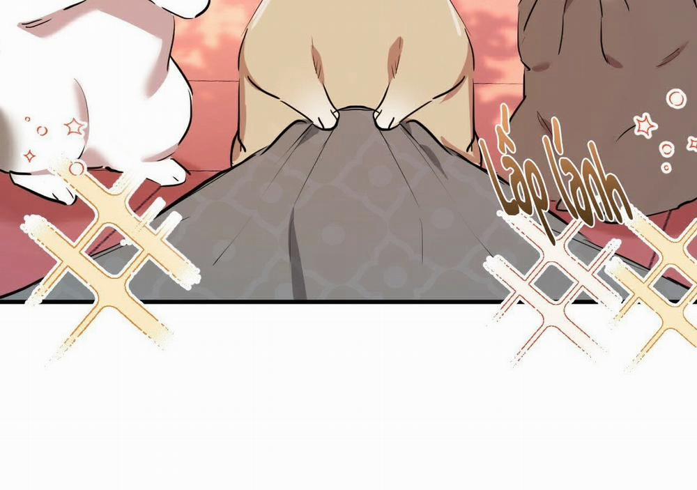 Đàn Thỏ Của Habibi 21 trang 8