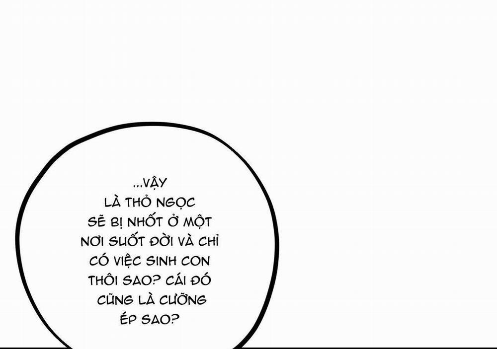 Đàn Thỏ Của Habibi 21 trang 90