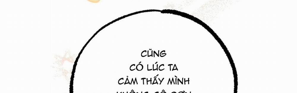 Đàn Thỏ Của Habibi 22 trang 166