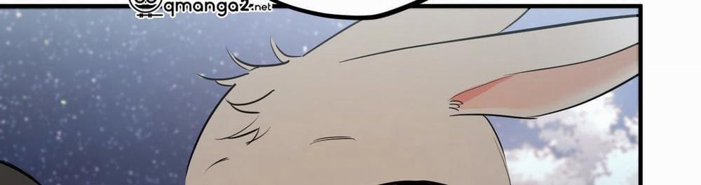 Đàn Thỏ Của Habibi 22 trang 214