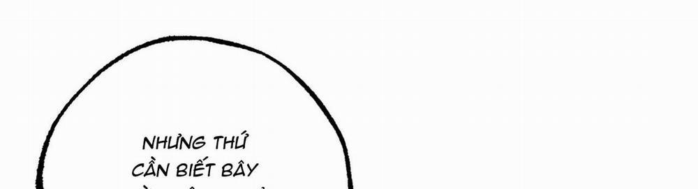 Đàn Thỏ Của Habibi 22 trang 446