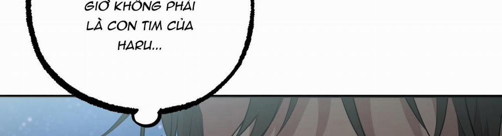 Đàn Thỏ Của Habibi 22 trang 447