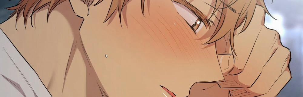 Đàn Thỏ Của Habibi 22 trang 483