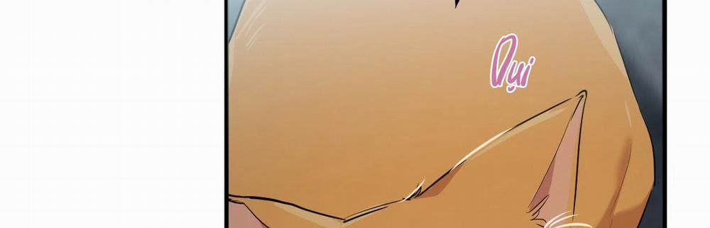 Đàn Thỏ Của Habibi 22 trang 500