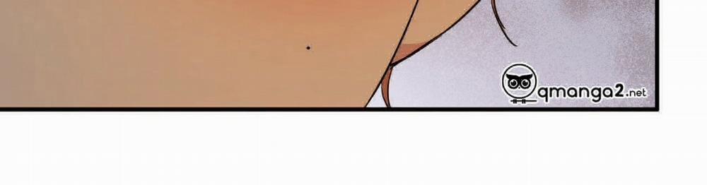 Đàn Thỏ Của Habibi 22 trang 539