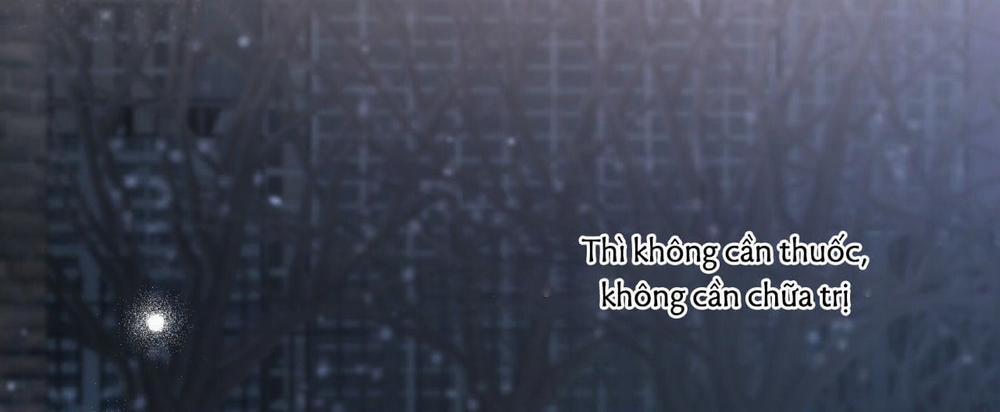 Đàn Thỏ Của Habibi 22 trang 558