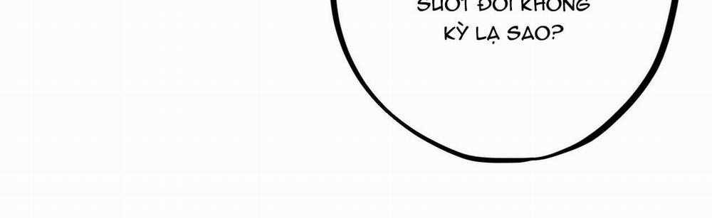 Đàn Thỏ Của Habibi 22 trang 89