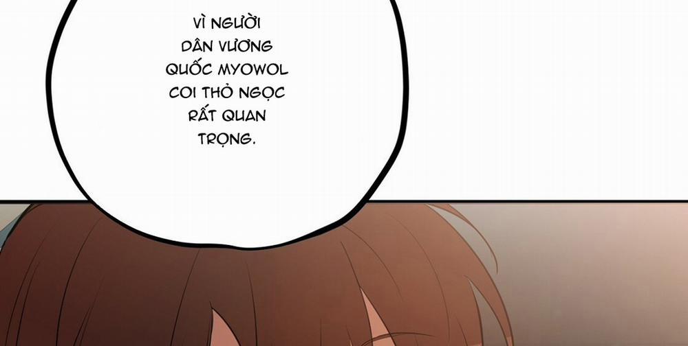 Đàn Thỏ Của Habibi 23 trang 146