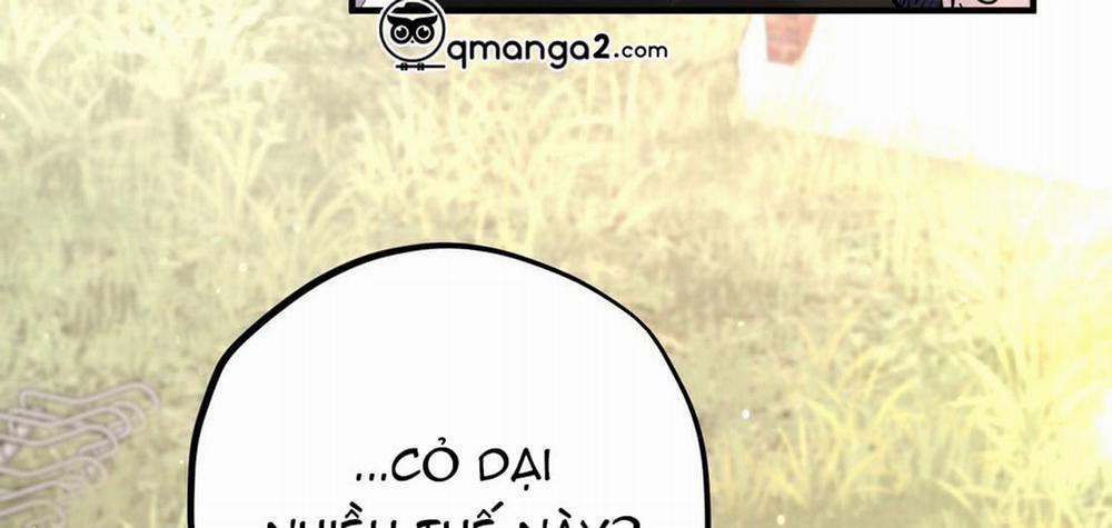 Đàn Thỏ Của Habibi 23 trang 233