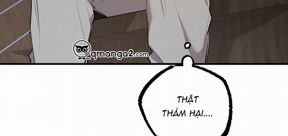 Đàn Thỏ Của Habibi 23 trang 274