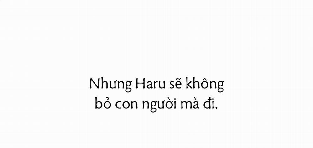 Đàn Thỏ Của Habibi 23 trang 301