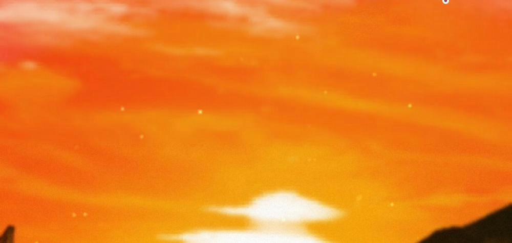 Đàn Thỏ Của Habibi 23 trang 316