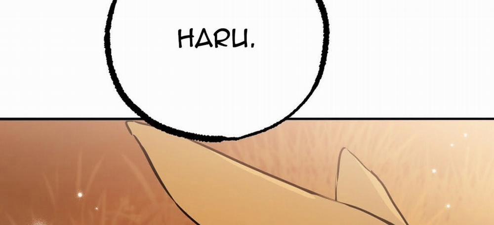 Đàn Thỏ Của Habibi 23 trang 327