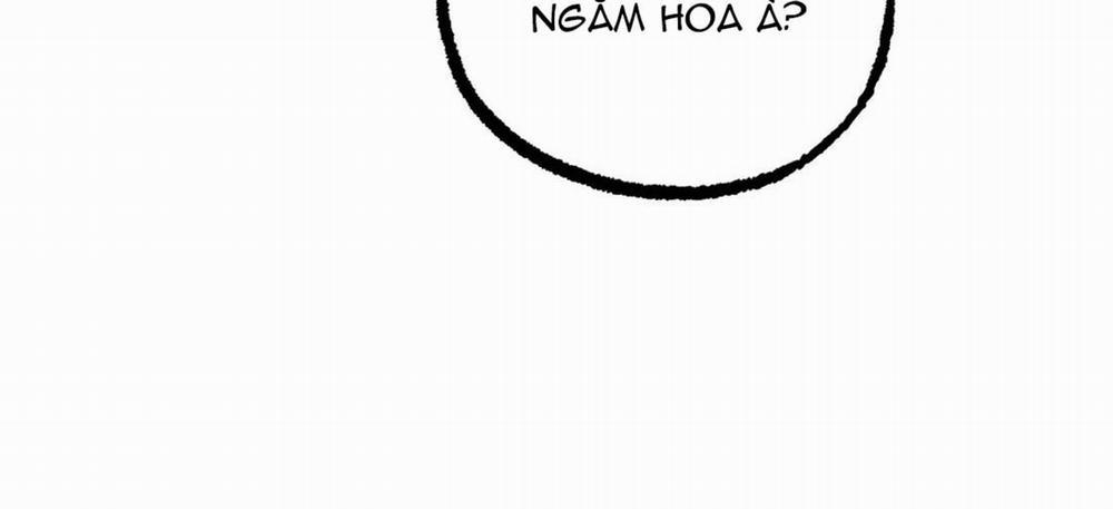 Đàn Thỏ Của Habibi 23 trang 334